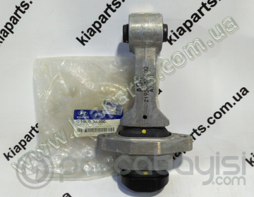 Hyundai Elantra Şanzıman Takozu Orjinal | 219503X300