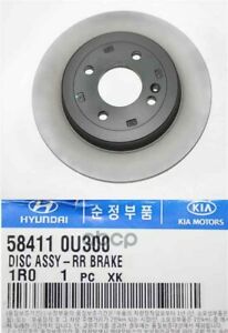 Rio Arka Fren Diski Orjinal | 584110U300