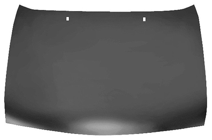 FIESTA FORD 1995-2002 KAPUT ÖN SAC | 445030 | P96FG16612BA