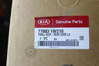 Rio Arka Kapı Sol Orjinal | 770031W210