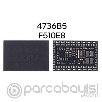 Samsung Galaxy S6  Bluetooth İc