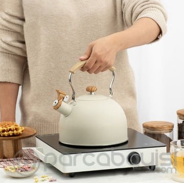 Ezere 2.5L Düdüklü Çaydanlık