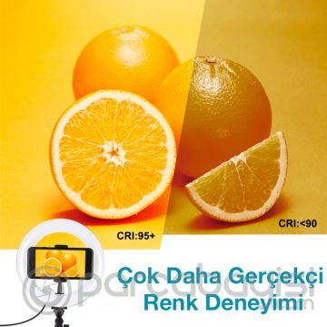 PULUZ 7.9inç Halka LED Işıklı Stand Ring Light Masaüstü Kol Standı