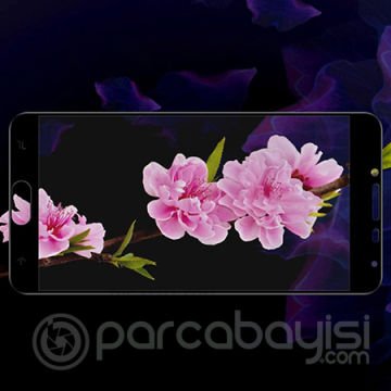 Ally Galaxy J4 2018 5D Kavisli Full Cam Ekran Koruyucu