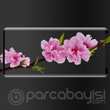 Ally Sm Note 9 3d Full Glue Yapıştırıcılı Cam Ekran Koruyucu