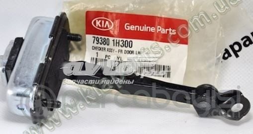 Kia Ceed Kapı Gergi Demiri Ön Sol Orjinal | 793801H300