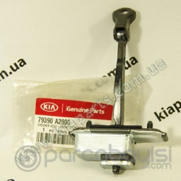 Kia Ceed Kapı Gergi Demiri Ön Sağ Orjinal | 79390A2000