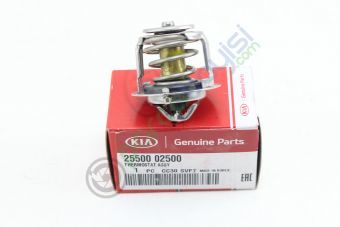 Termostat Orjinal | 2550002500