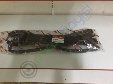 Kapı Lastiği Sağ Orjinal | 82140F1000