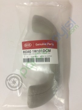 Ön Tavan Tutamağı Sağ Orjinal | 853401W101Dcm