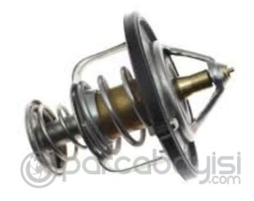 Termostat Orjinal | 2550038001