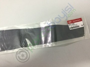 Arka Kapı Siyah Bandı Ön Sağ Orjinal | 863912P000