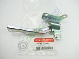 Motor Kaput Menteşesi Sağ Orjinal | 791201G000