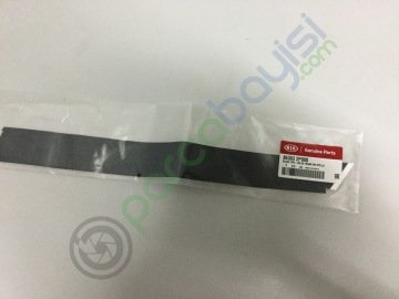Arka Kapı Siyah Bandı Sol Orjinal | 863832P000