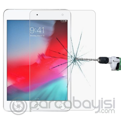 Ally Apple İpad Mini 5-4 Tempered Kırılmaz Cam Ekran Koruyucu