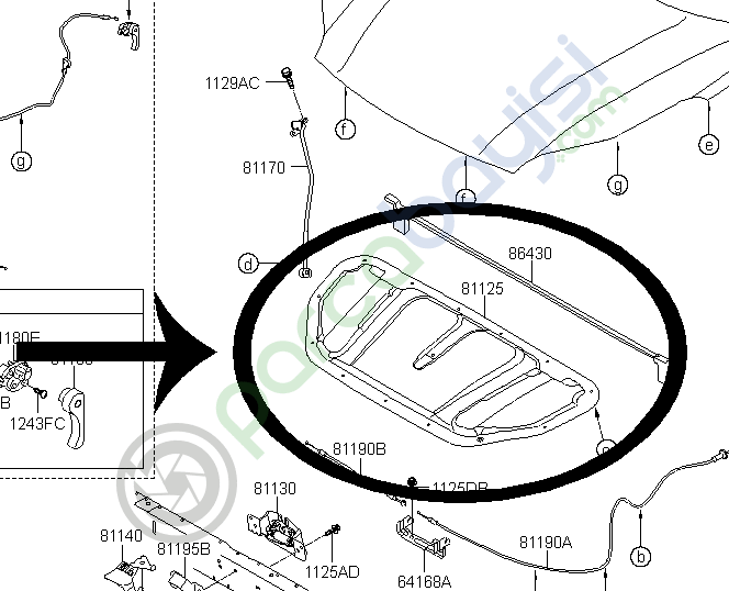 Kia Sportage Motor Kaput İzalasyonu Orjinal 2015-2018 | 81125F1000