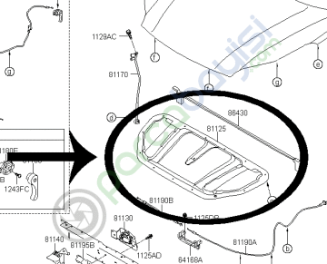 Kia Sportage Motor Kaput İzalasyonu Orjinal 2015-2018 | 81125F1000