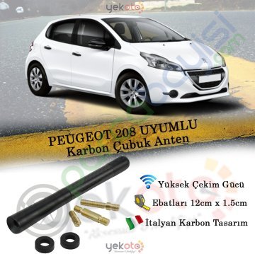 Peugeot 208 Uyumlu Karbon Fiber Oto Radio Anteni Çubuk Anten