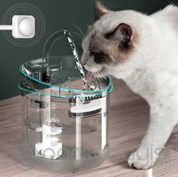Ezere WF060 Sensörlü Kedi ve Köpek için Pipetli Su Şeffaf Çeşmesi Pınarı 2 Litre