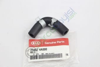 Hortum Orjinal | 254624A000