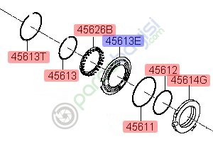 Piston Orjinal | 456133B601