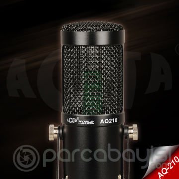 AQ210 Condenser Stüdyo Profesyonel Kayıt ve Yayın Mikrofonu Studio