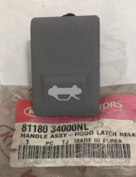 Kia Picanto Kaput Açma Kolu Orjinal | 8118034000Nl