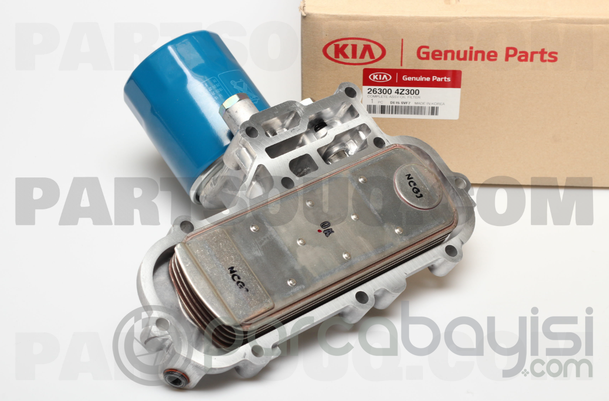 Kia Bongo Yağ Filtresi Komple Orjinal | 263004Z300