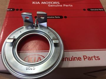 Kia Sorento Keçe Vakum Orjinal | 510203E100