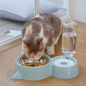 EZERE Kedi ve Köpekler için Otomatik 2 Bölmeli Mama ve Su Kabı