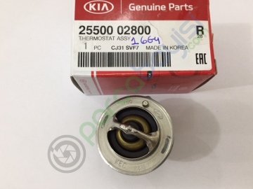 Termostat Orjinal | 2550002800