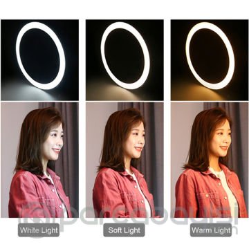 PULUZ Çift Telefon tutucu 12CM Led Işık Stand Youtuber,Canlı Yayın Selfie TikTok Makeup