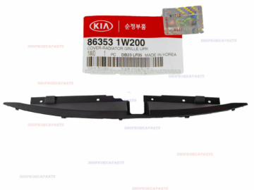 Kia Rio Ön Panjur Üst Sacı Orjinal | 863531W200