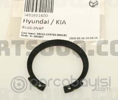 Oring Sekman Orjinal | 5451831600