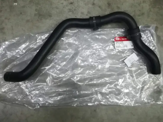 Kia Picanto Radyatör Alt Hortumu Orjinal | 2541207000