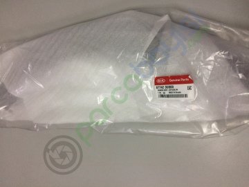 Çamurluk Bakaliti Sağ Orjinal | 877423U000