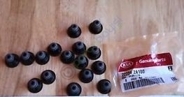 Subap Keçesi Orjinal | 222242A100