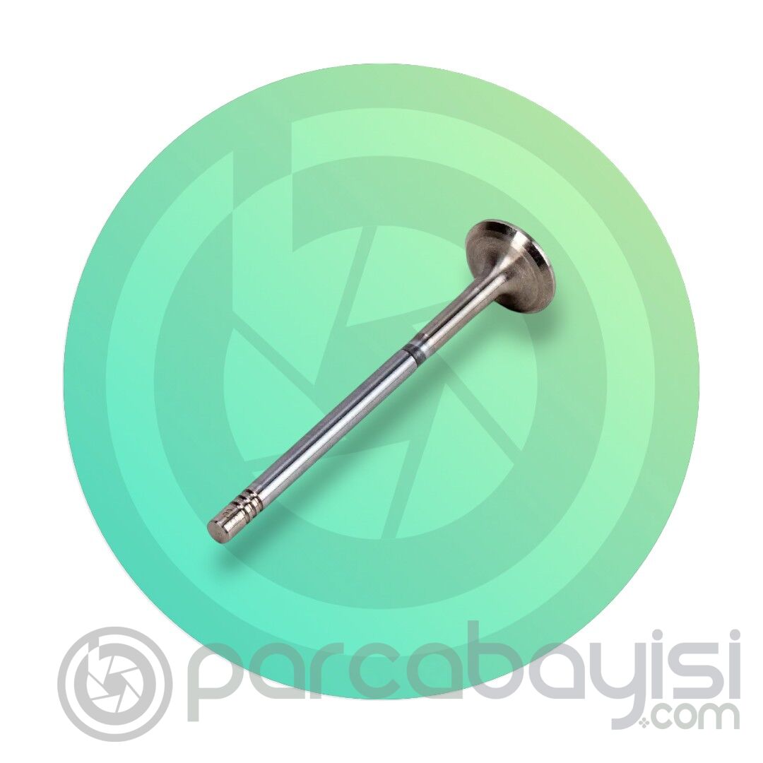 EGZOZ SUPABI DV5R PSA ORJİNAL | 9842467480