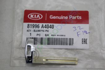 Rio Sportage Ham Anahtar Orjinal | 81996A4040