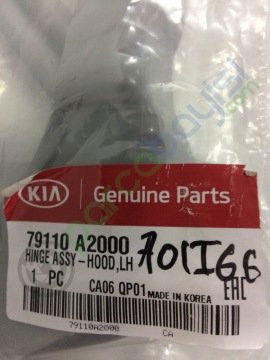 Kaput Menteşesi Sol Orjinal | 79110A2000