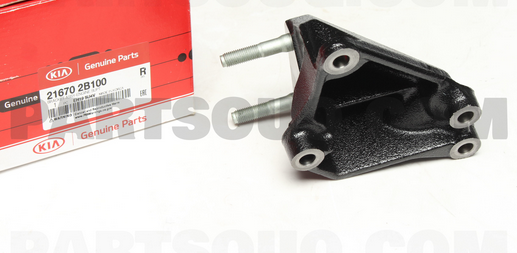 Motor Montaj Braketi Orjinal | 216702B100