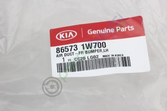 Rio Ön Tampon Hava Kanalı Orjinal | 865731W700